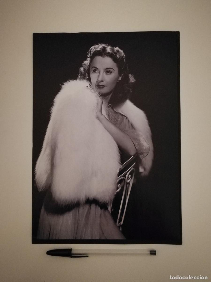 Cine: LAMINA ACARTONADA -A4- Barbara Stanwyck