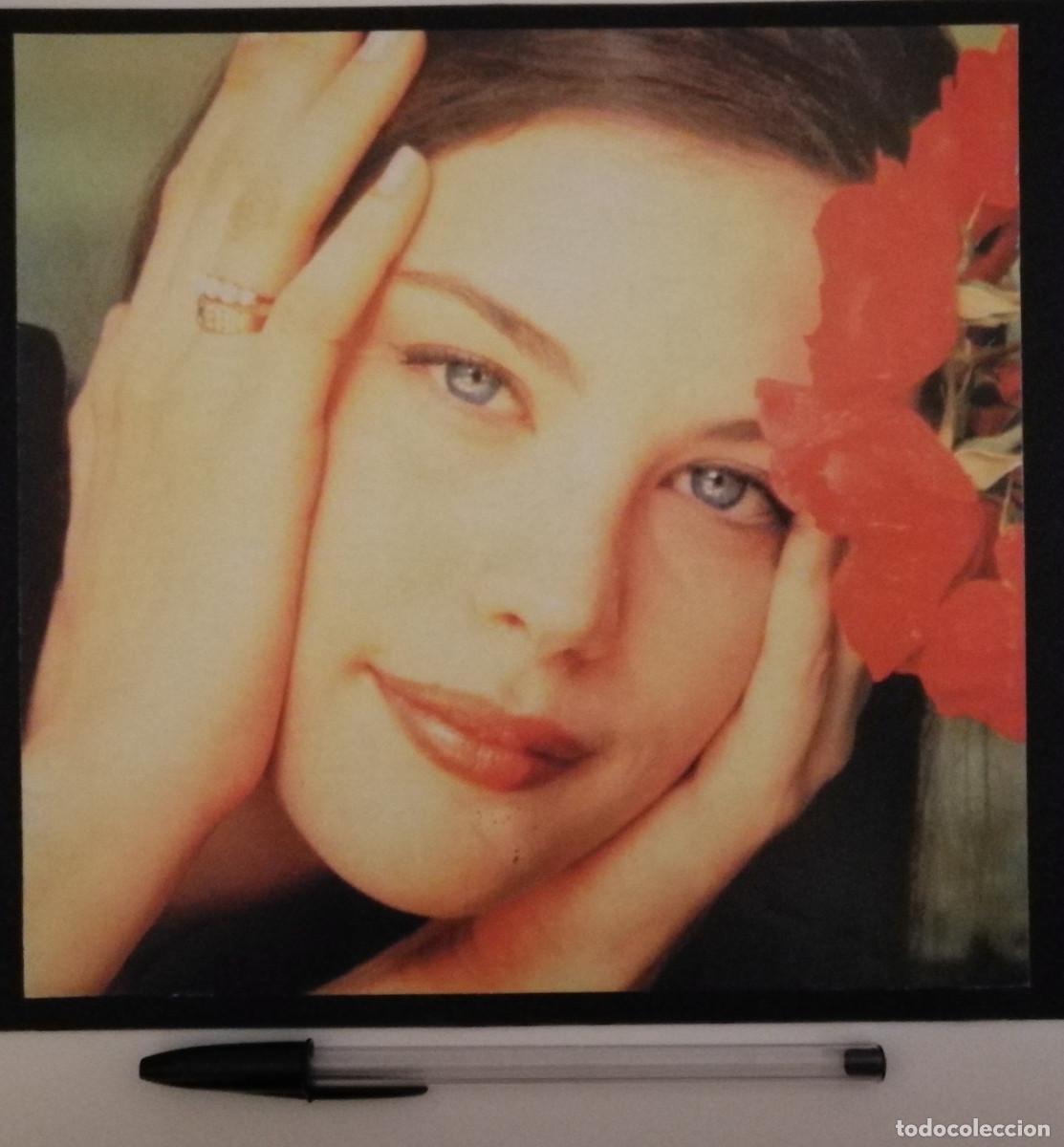 Cin&eacute;ma: LAMINA ACARTONADA - LIV TYLER