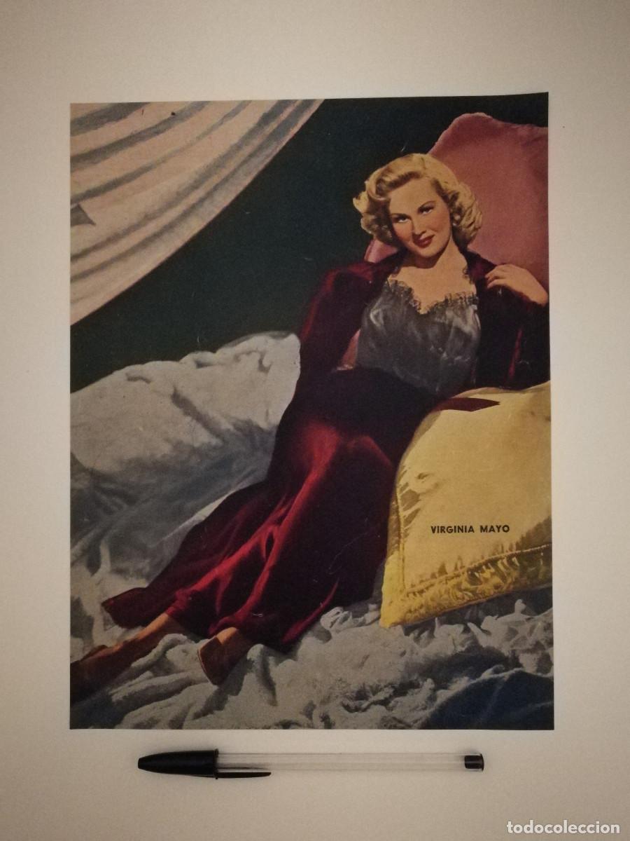 Cinema: ANTIGUO ANUNCIO ENCARTONADO -A4- VIRGINIA MAYO