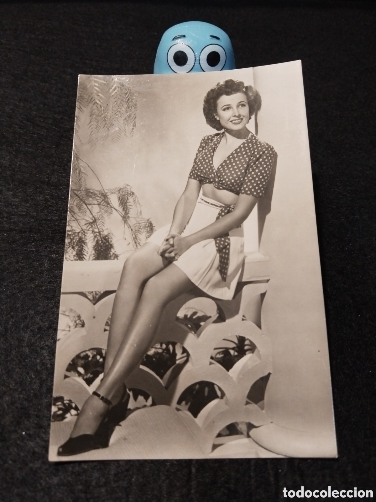 Cinema: Fotograf&iacute;a de Loraine Day