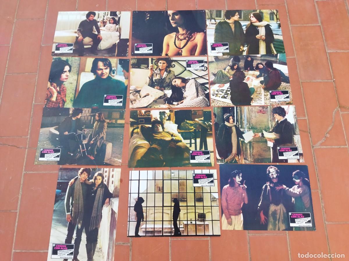 Cin&eacute;ma: juego de fotocromos 12 movie set completo CERDOS CON ALAS paolo pietrangeli cristiana mancinelli