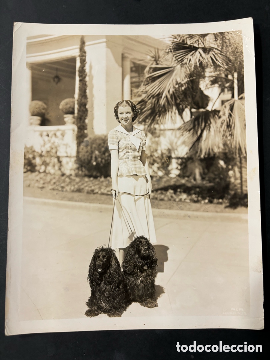 Cinema: Foto original MGM de Betty Furness