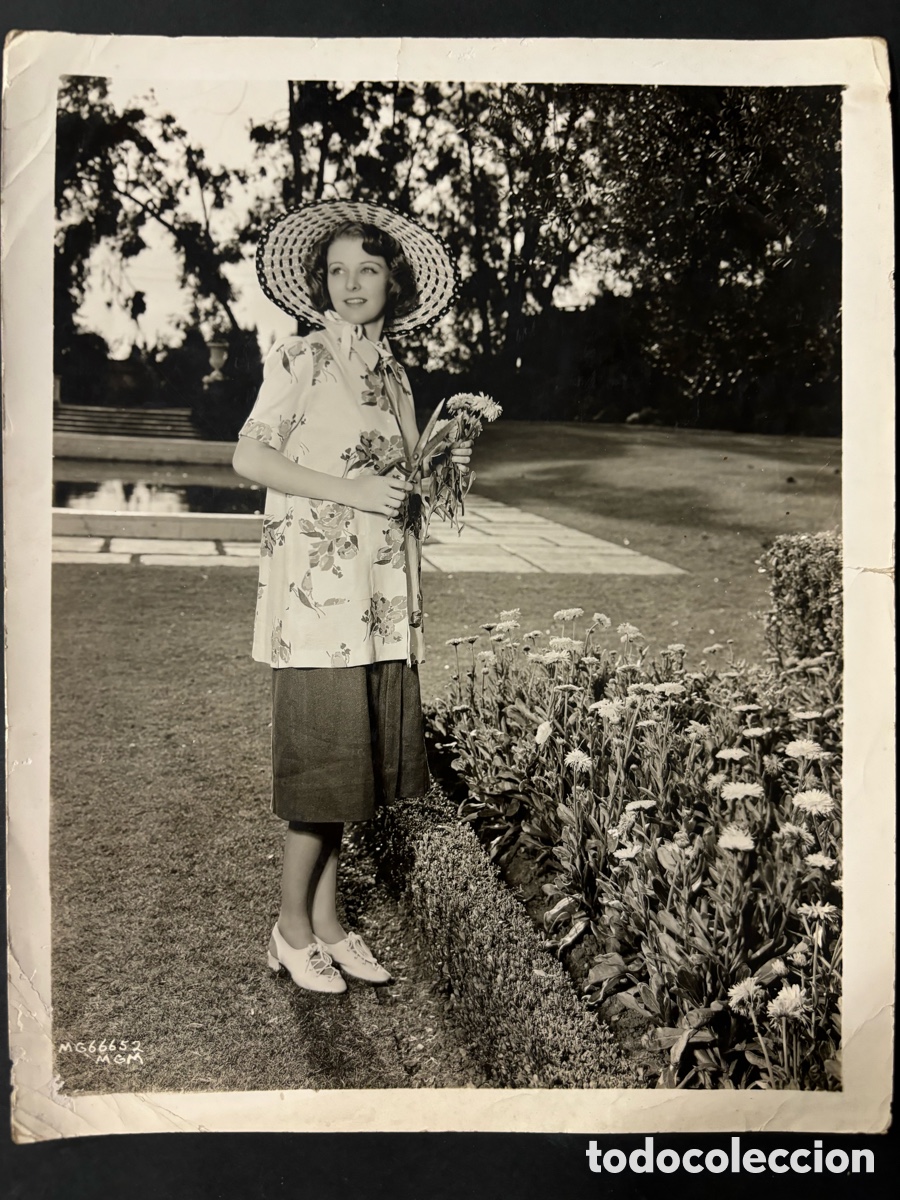 Cin&eacute;ma: Foto original MGM de florence Rice