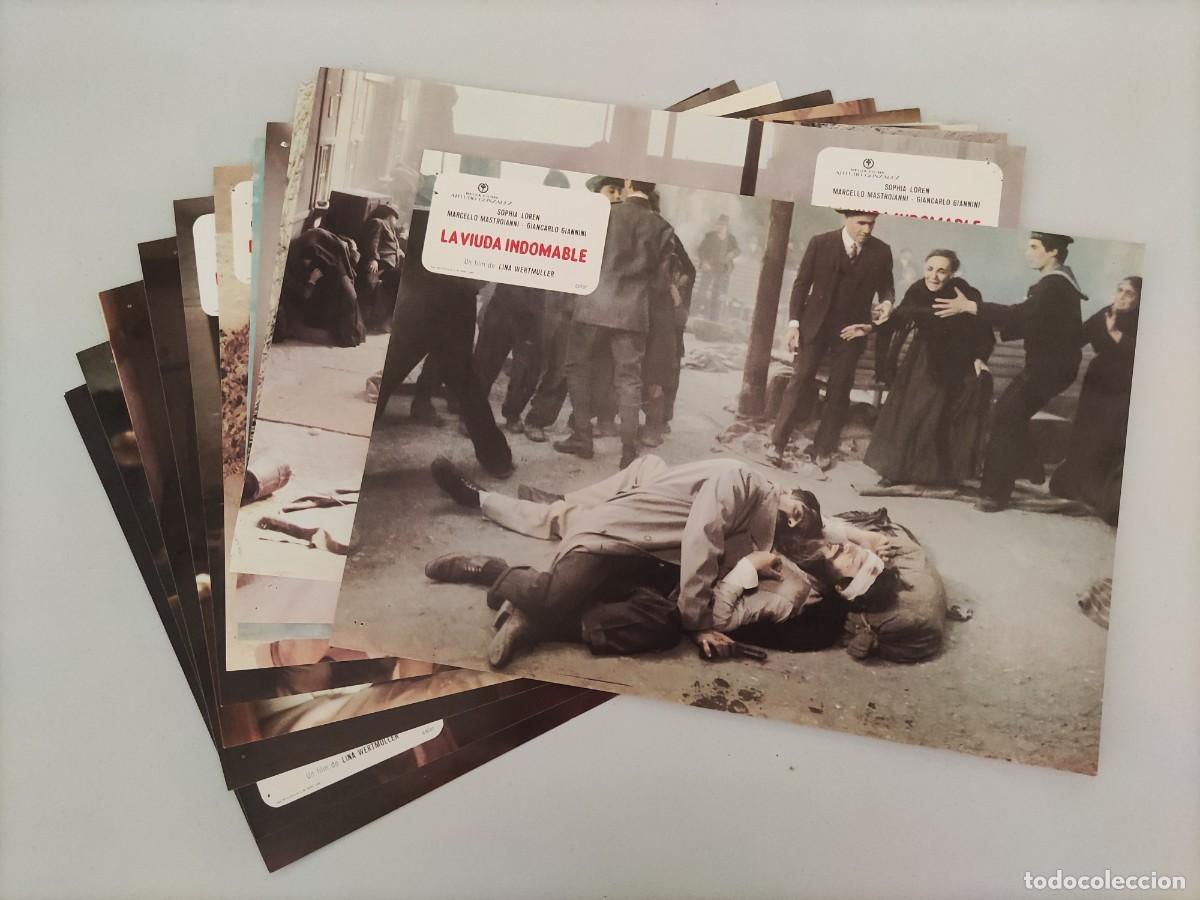 Cine: FT 66 - 11 Fotocromos La viuda indomable - Sophia Loren, Marcelo Mastroianni