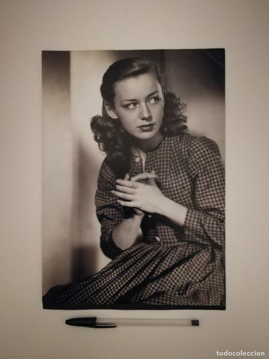 Cinema: FICHA COLECCIONABLE -A4- ANNE SHIRLEY