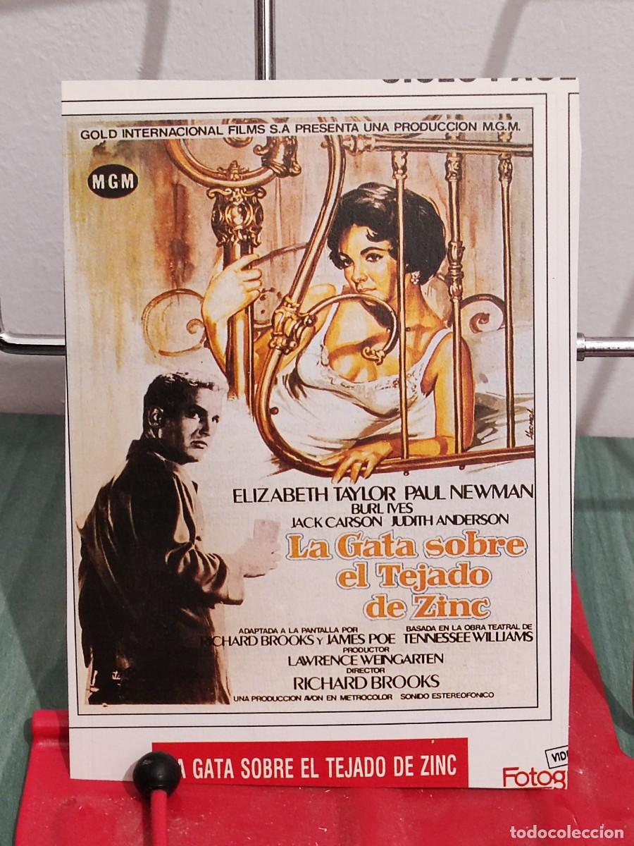 Kino: La gata sobre el tejado de zinc . Ficha revista Fotogramas