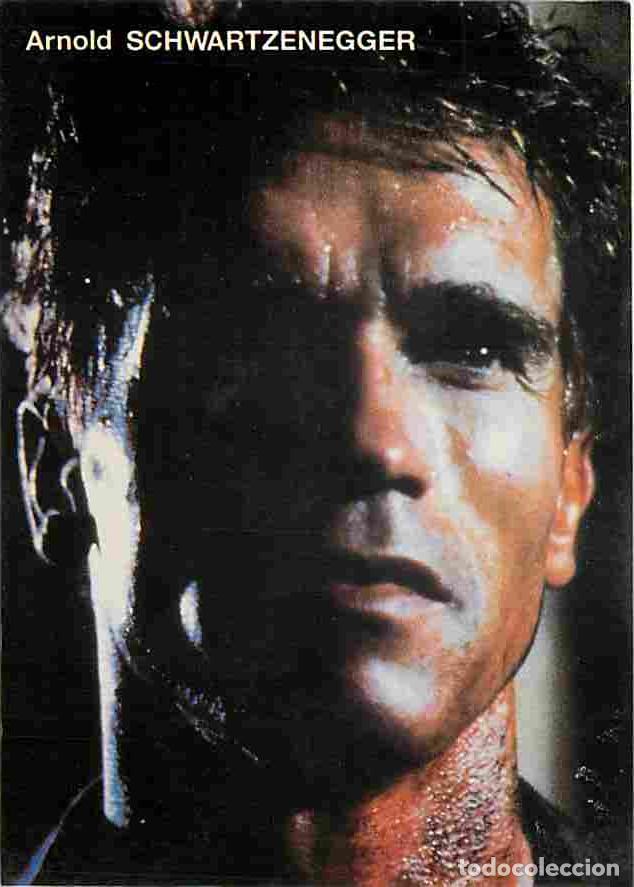 Kino: Cinema - Acteurs - Arnold Schwanenegger - Carte Neuve - CPM - Voir Scans Recto-Verso