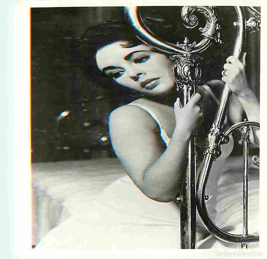Cin&eacute;ma: Cinema - Acteurs - Liz Taylor - CPM - Voir Scans Recto-Verso