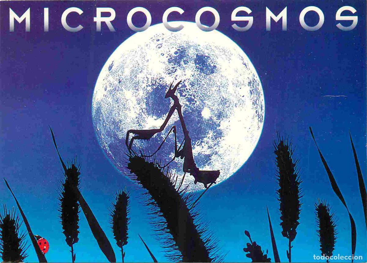 Cine: Cinema - Affiche de Film - Microcosmos - Mante religieuse - insectes - CPM - Carte Neuve - Voir Scan