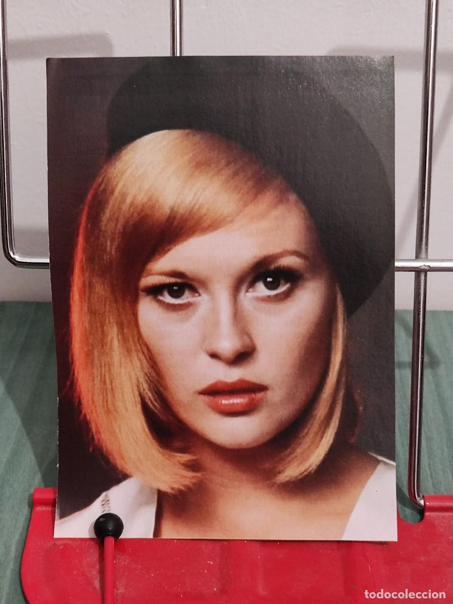 Cin&eacute;ma: Faye Dunaway . Ficha revista accion cine