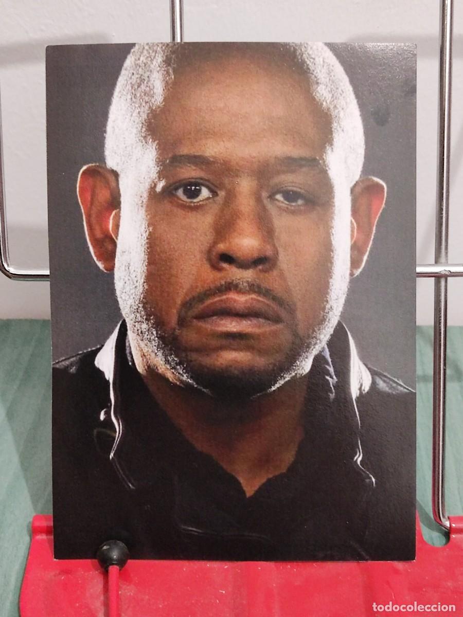 Cin&eacute;ma: Forest Whitaker . Ficha revista accion cine