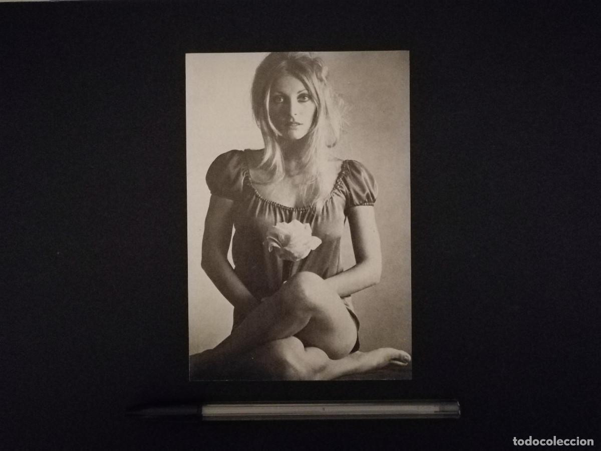 Cin&eacute;ma: TARJETA ACARTONADA -10*15- SHARON TATE