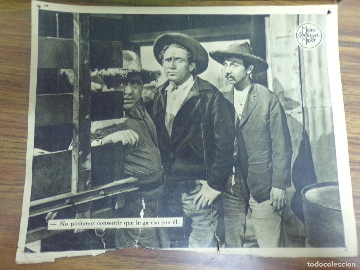 Kino: fotograma folleto Metro Goldwyn Mayer original. actores y actrices.