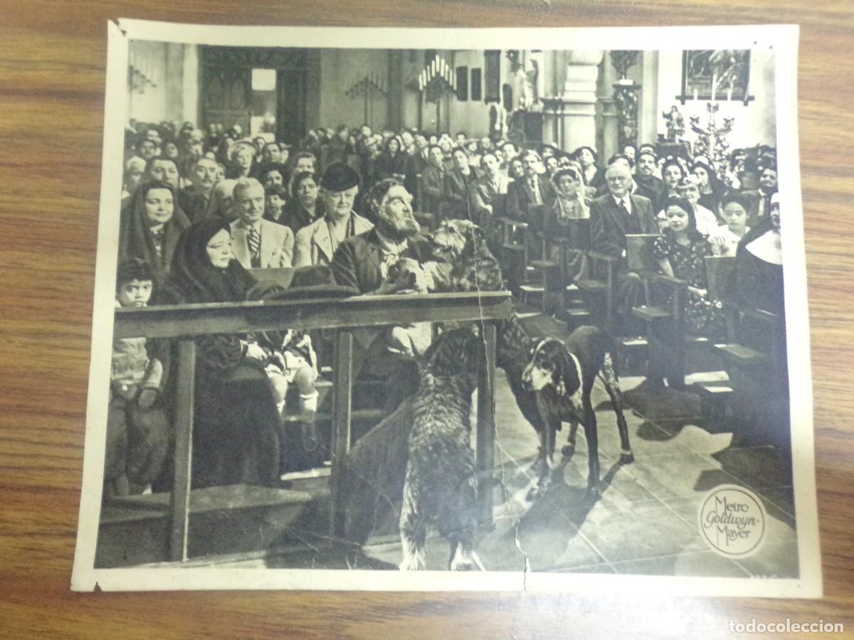 Cine: fotograma folleto Metro Goldwyn Mayer original. actores y actrices.