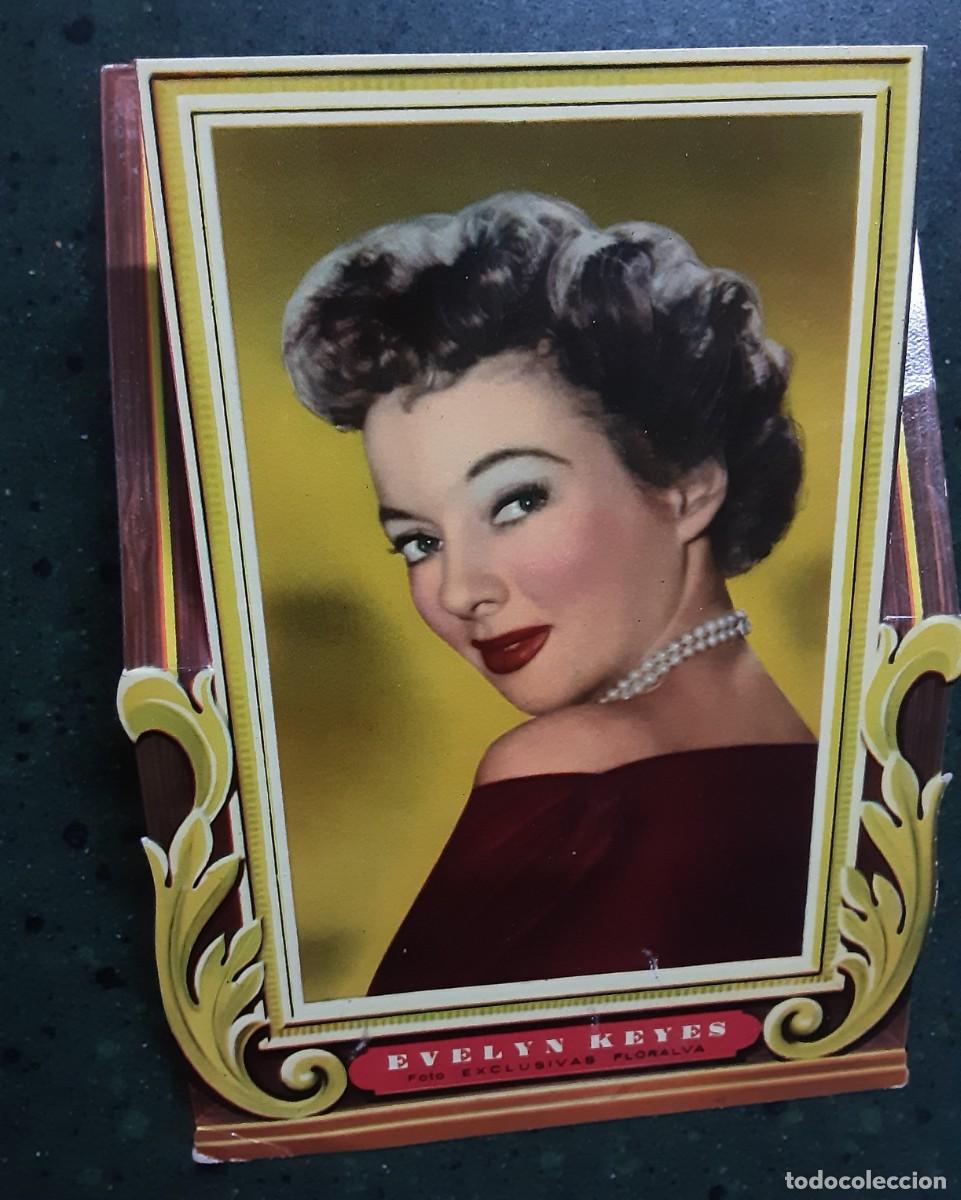 Cine: Foto EXCLUSIVAS FLORALVA, EVELYN KEYES, enmarcada