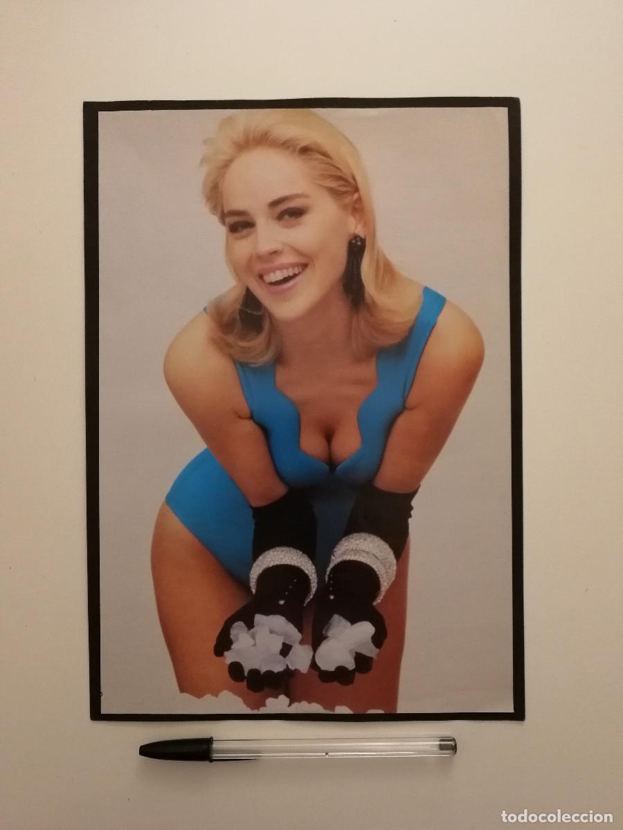 Kino: LAMINA ACARTONADA -A4- SHARON STONE