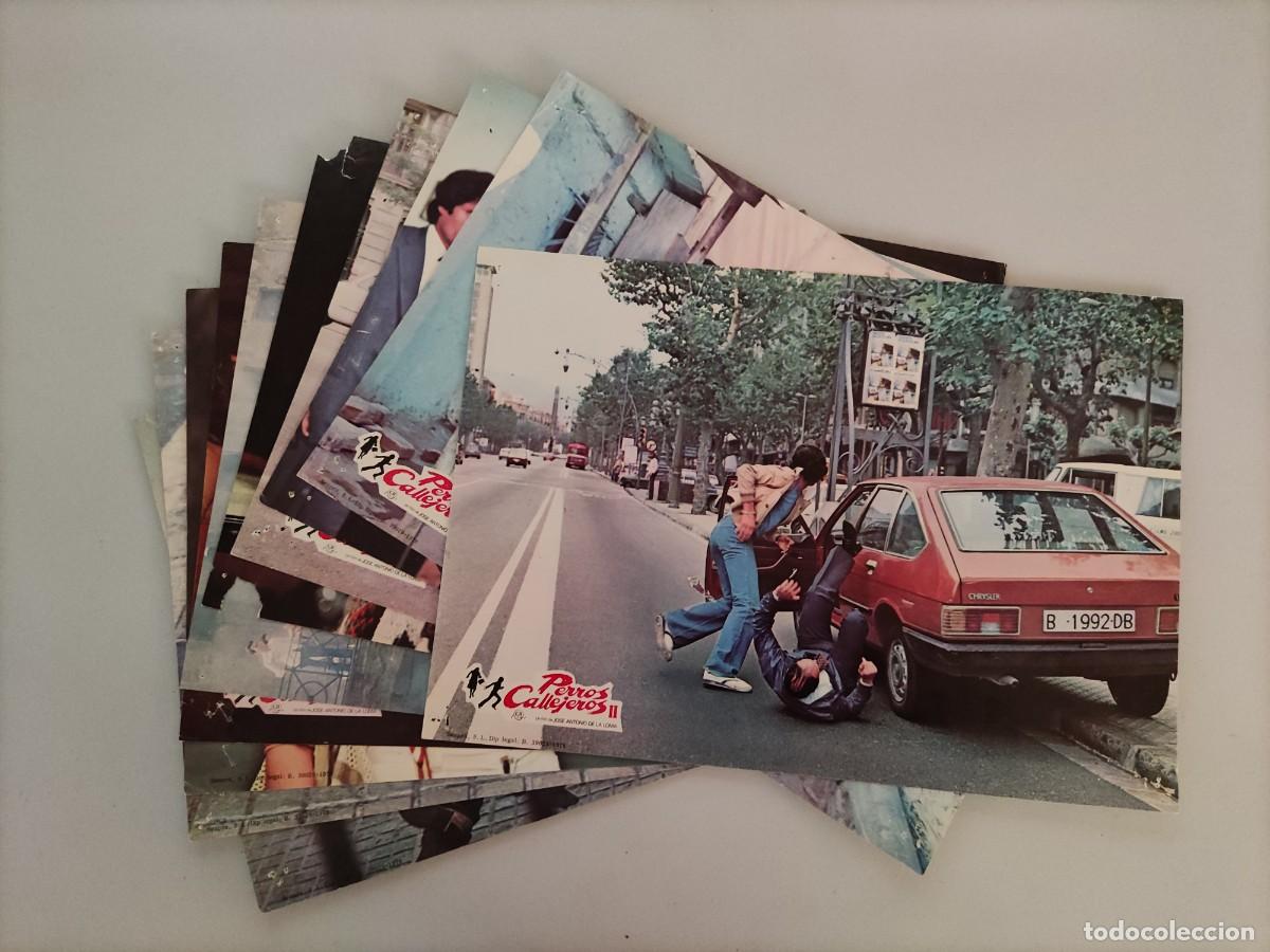 Cinema: FT 375 - 10 Fotocromos Perros callejeros II - &Aacute;ngel Fern&aacute;ndez Franco