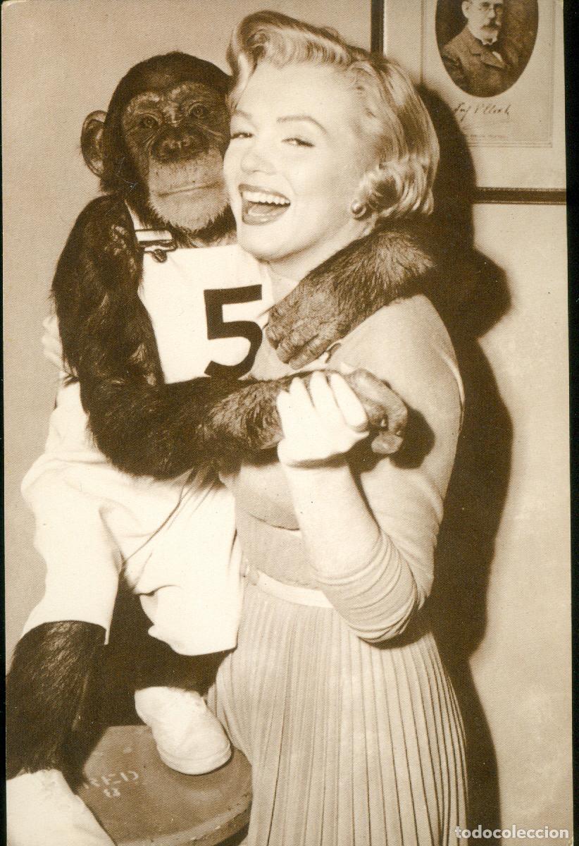 Cine: MARILYN MONROE POSTAL ORIGINAL DE USA