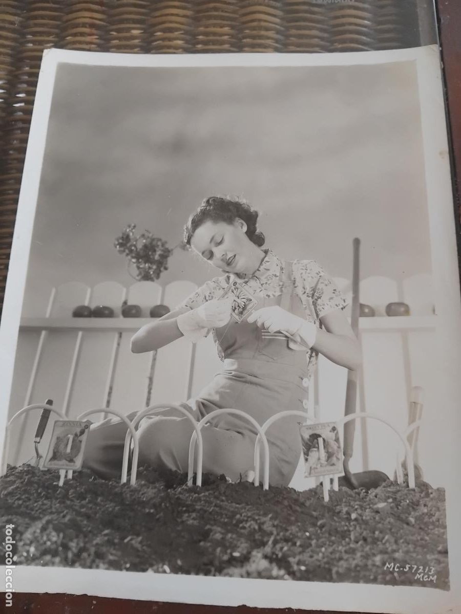 Cine: MAUREN O'SULLIVAN. FOTOGRAFIA METRO GOLDWYN MAYER. 26 X 20.50 CM