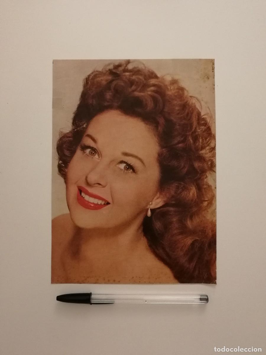 Cine: LAMINA ACARTONADA - SUSAN HAYWARD