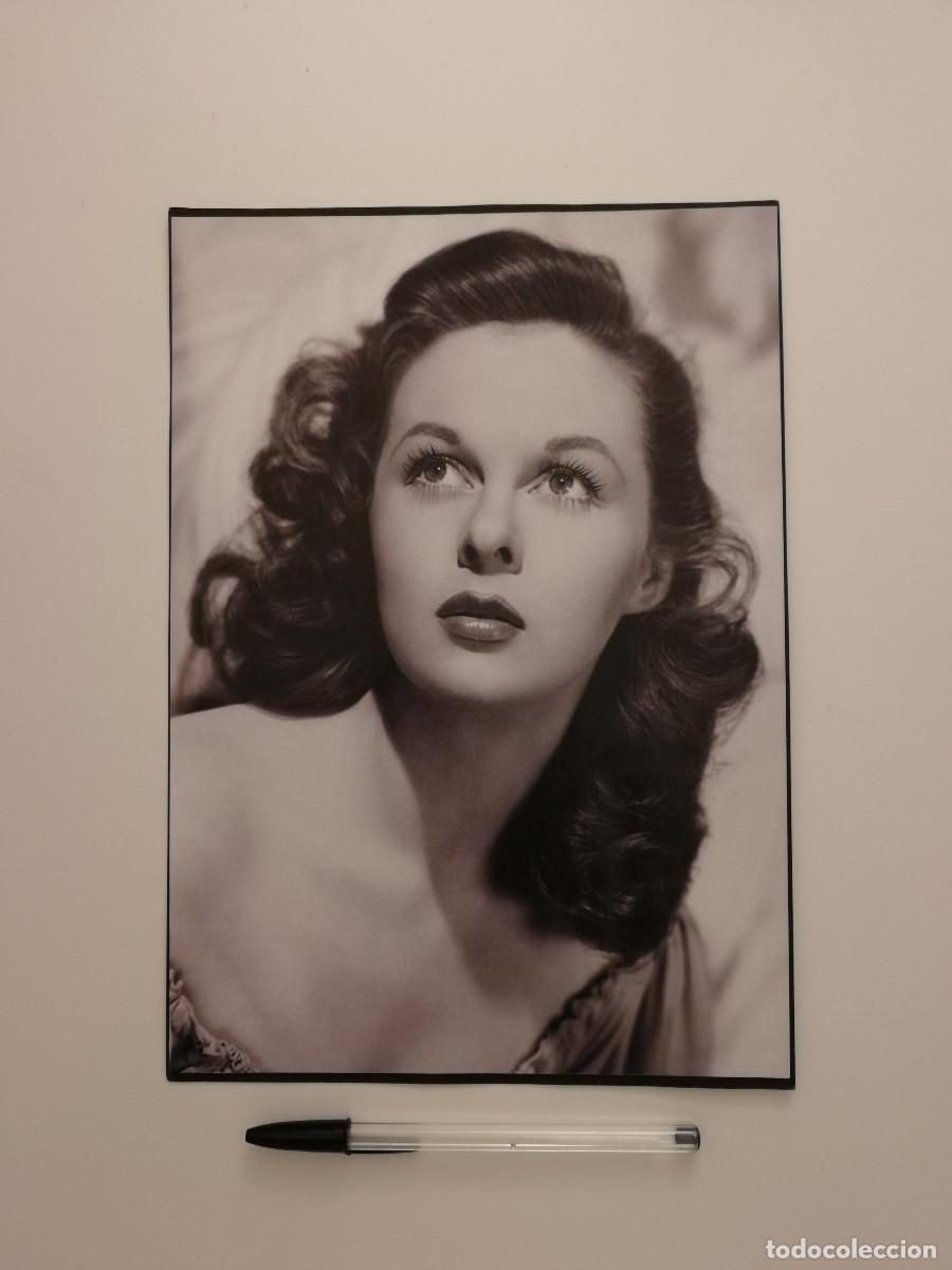 Cine: LAMINA ACARTONADA -A4- Susan Hayward