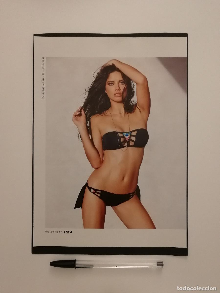 Cine: LAMINA ACARTONADA -A4- Adriana Lima