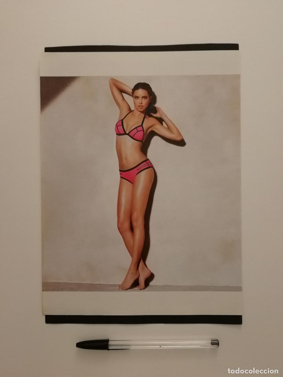 Cine: LAMINA ACARTONADA -A4- Adriana Lima