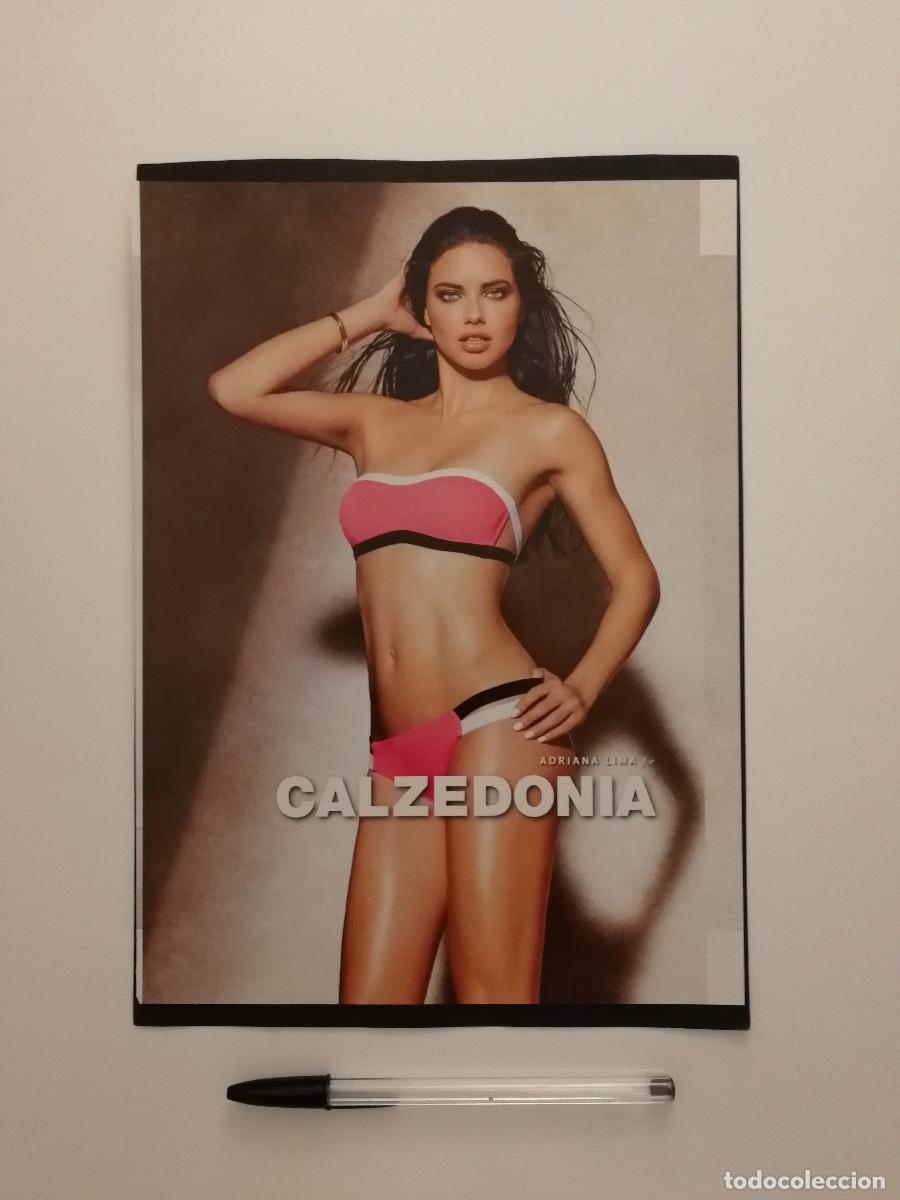 Cine: LAMINA ACARTONADA -A4- Adriana Lima