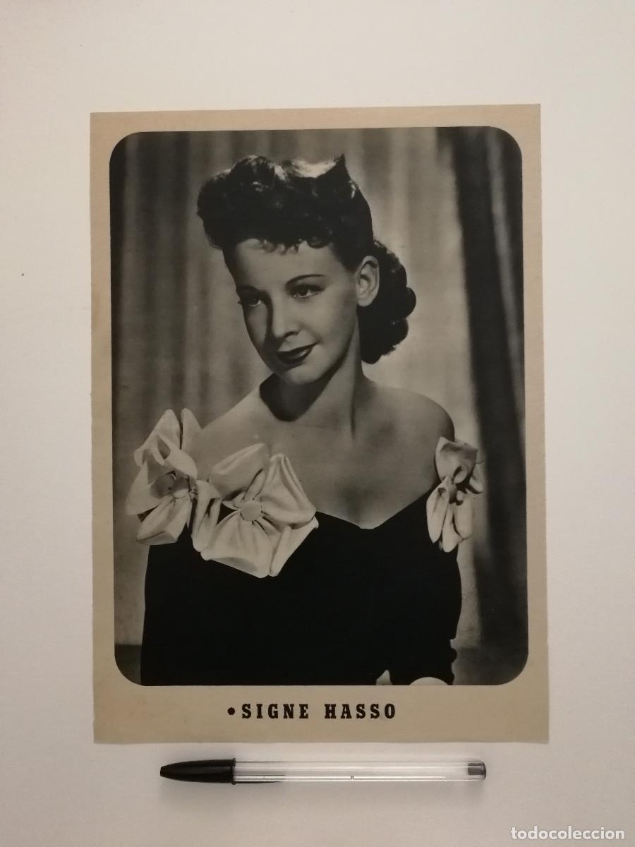 Cine: ANTIGUO ANUNCIO ENCARTONADO -A4- Signe Hasso