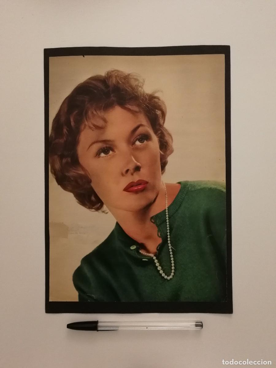 Cine: ANTIGUO ANUNCIO ENCARTONADO -20*25- Gloria Grahame