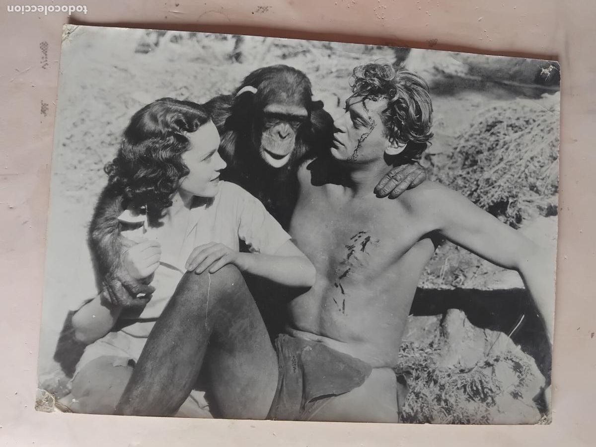Kino: FOTOGRAFIA DE TARZAN JANE Y SU HIJO. JOHNNY WEISMULLER. 30 X 40 CM.