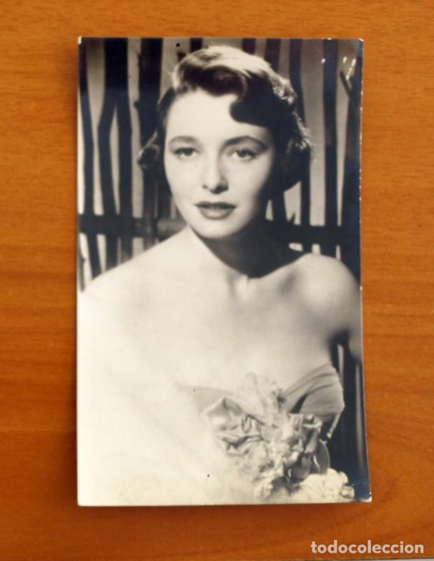 Kino: Foto-Postal - Cine - Actrices y Actores - 2309 Patricia Neal
