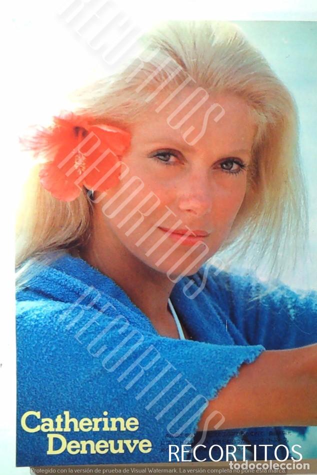 Cine: CLIPPINGS PIN UP CATHERINE DENEUVE JAPON JAPAN