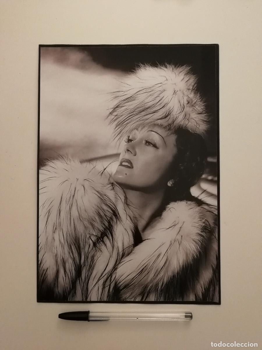 Cin&eacute;ma: LAMINA ACARTONADA -A4- Gloria Swanson