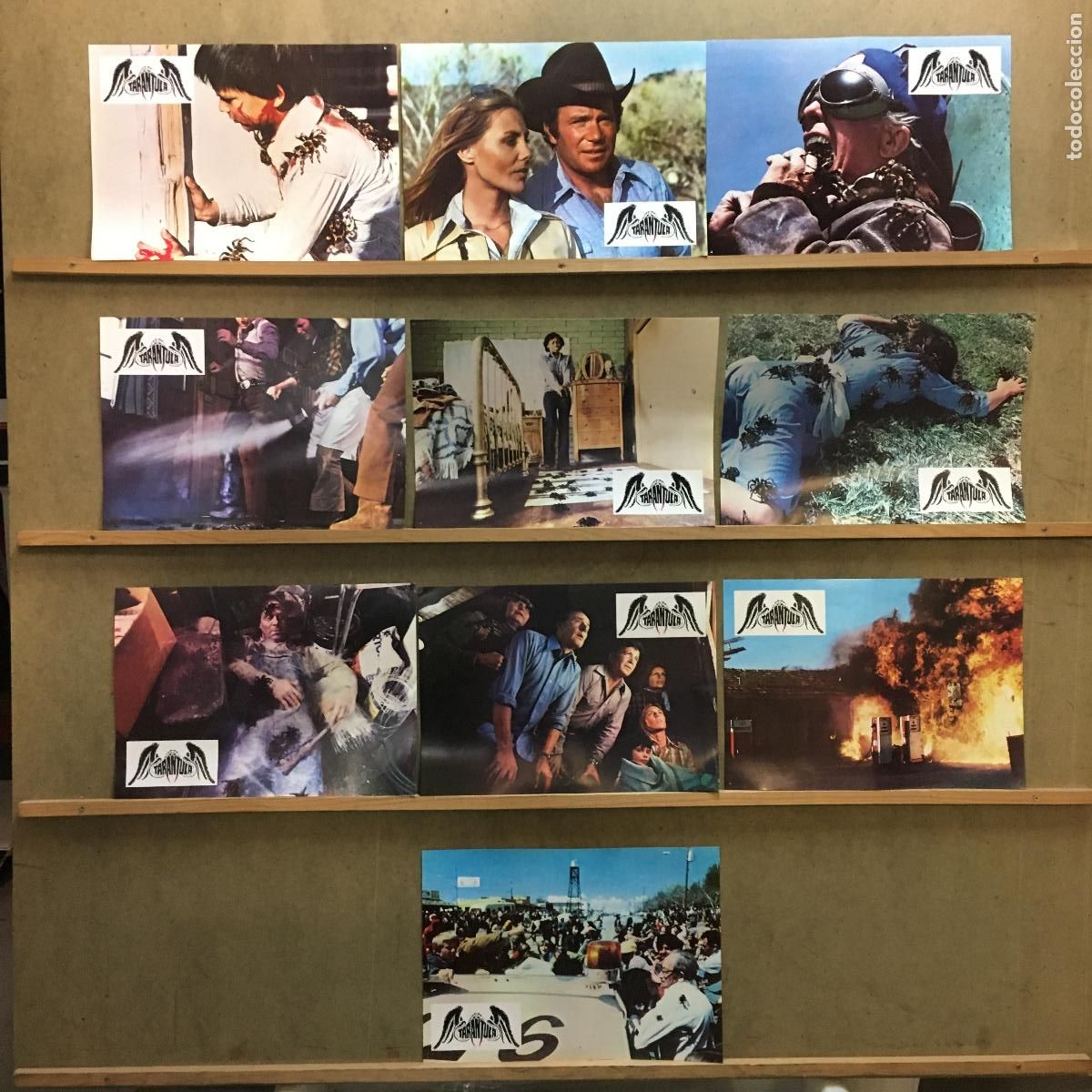 Kino: AEF54 TARANTULA WILLIAM SHATNER SET 10 FOTOCROMOS ORIGINAL ESTRENO