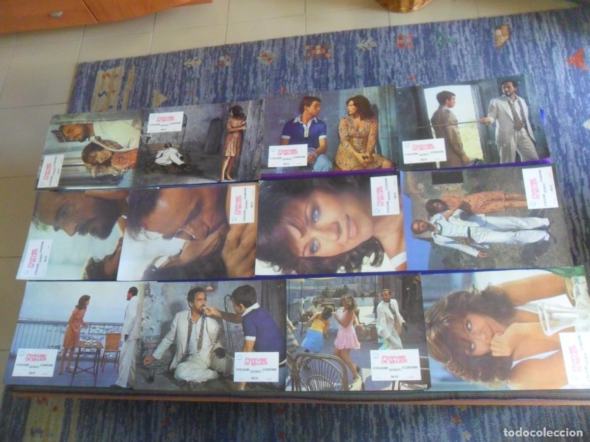 Cine: SET COMPLETO 12 FOTOCROMOS PERFUME DE MUJER VITTORIO GASSMAN AGOSTINA BELLI DINO RISI. RAROS.