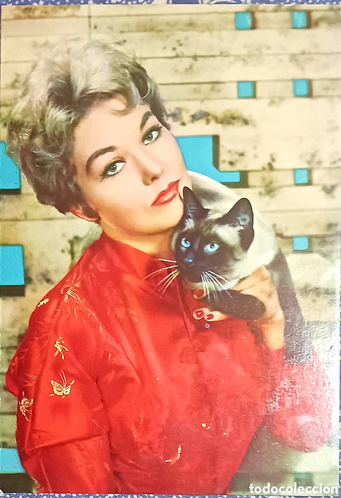 Kino: Kim Nocak. Gato. Edicion Oscar Color 40- Nueva. . Vell I Bell.