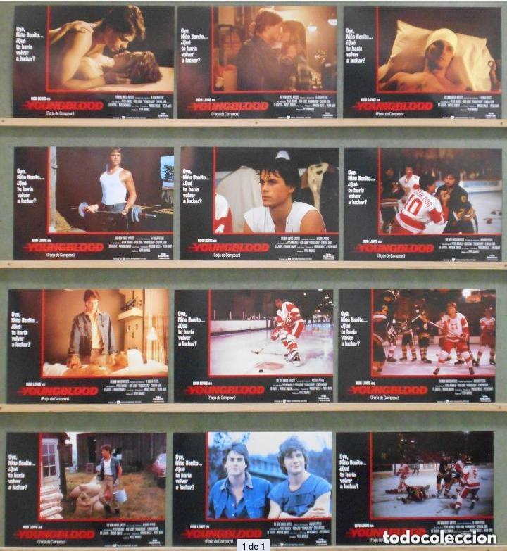 Cine: AEH06 YOUNGBLOOD ROB LOWE PATRICK SWAYZE CYNTHIA GIBB KEANU REEVES SET 12 FOTOCROMOS ORIGINAL ESTREN