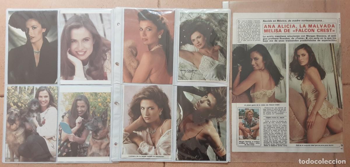 Cine: ANA ALICIA (FALCON CREST), 14 RECORTES DE PRENSA Y FOTOS