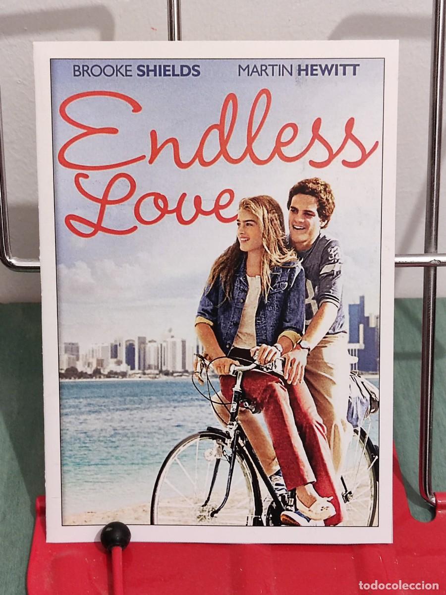 Cinema: Amor sin fin (Endless love) . Ficha revista Accion cine