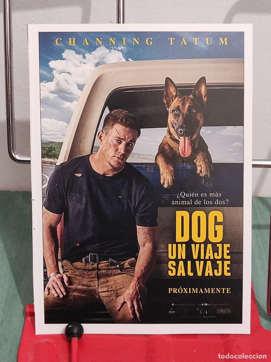Cine: Dog un viaje salvaje . Ficha revista Accion cine