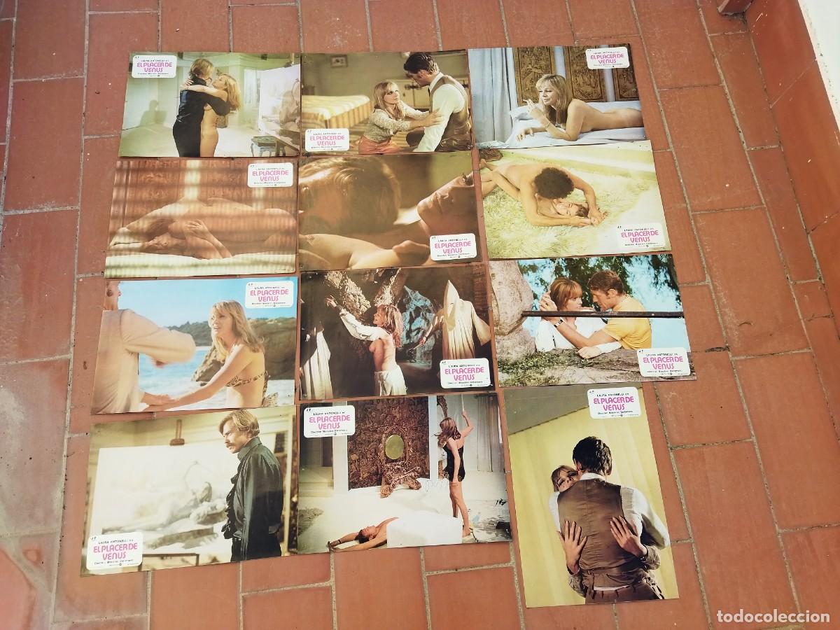 Kino: fotocromos 12 set completo EL PLACER DE VENUS laura antonelli massimo dallamano