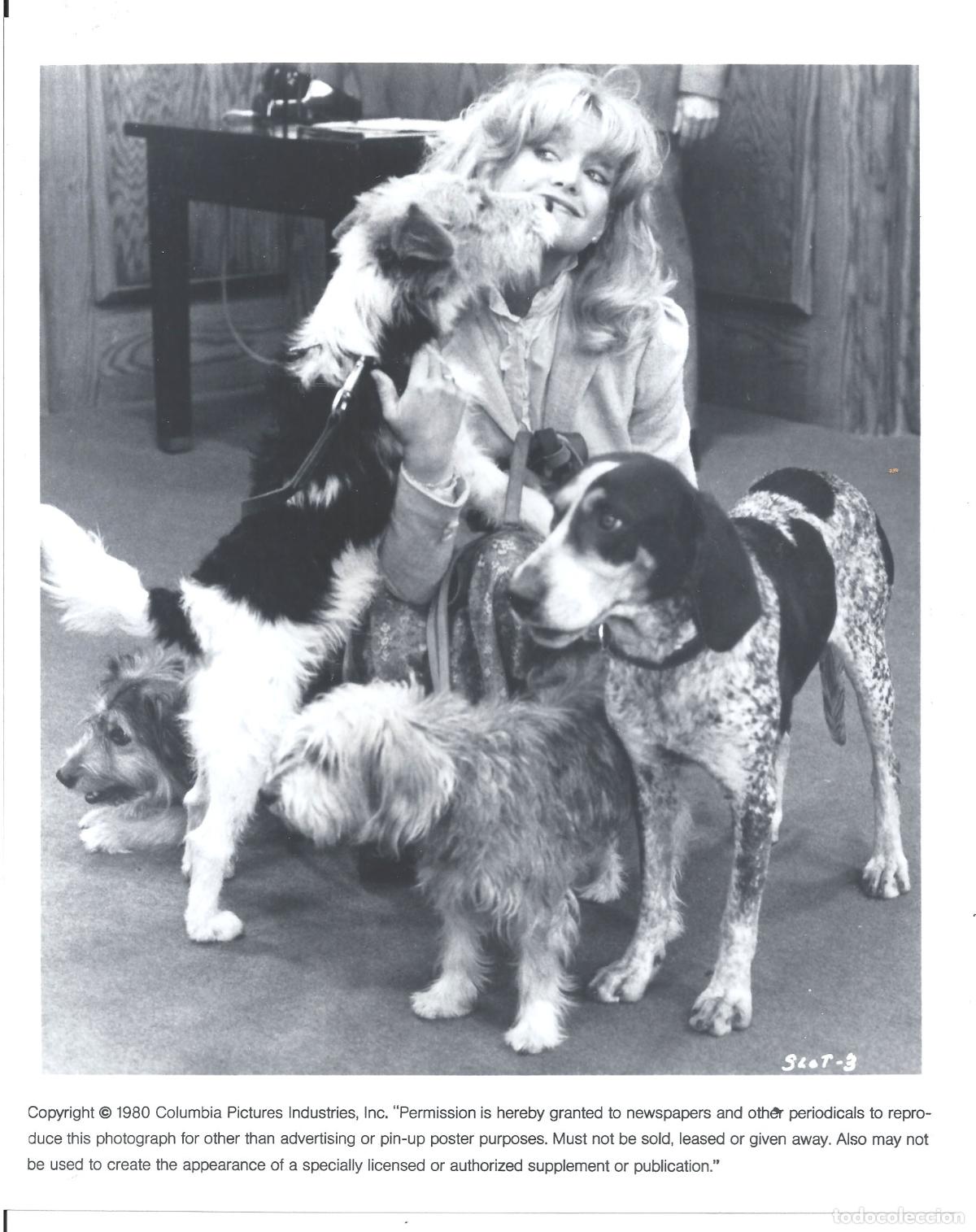 Kino: F35705 GOLDIE HAWN COMO EN LOS VIEJOS TIEMPOS CON PERROS FOTO B/N ORIGINAL AMERICANA