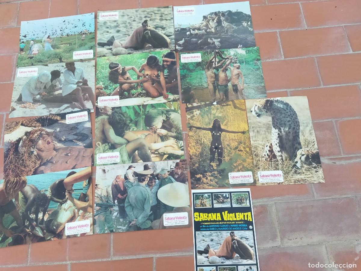 Cinema: fotocromos 12 + guia set completo SABANA VIOLENTA antonio climati y mario morra hombres salvajes