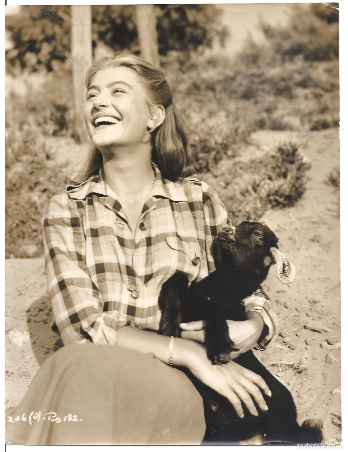 Cine: F35757 ANOUK AIMEE FOTO B/N ORIGINAL INGLESA