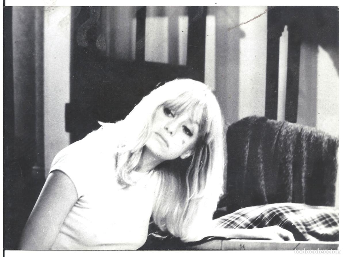 Kino: F35761 GOLDIE HAWN SHAMPOO FOTO B/N ORIGINAL ESPA&Ntilde;OLA
