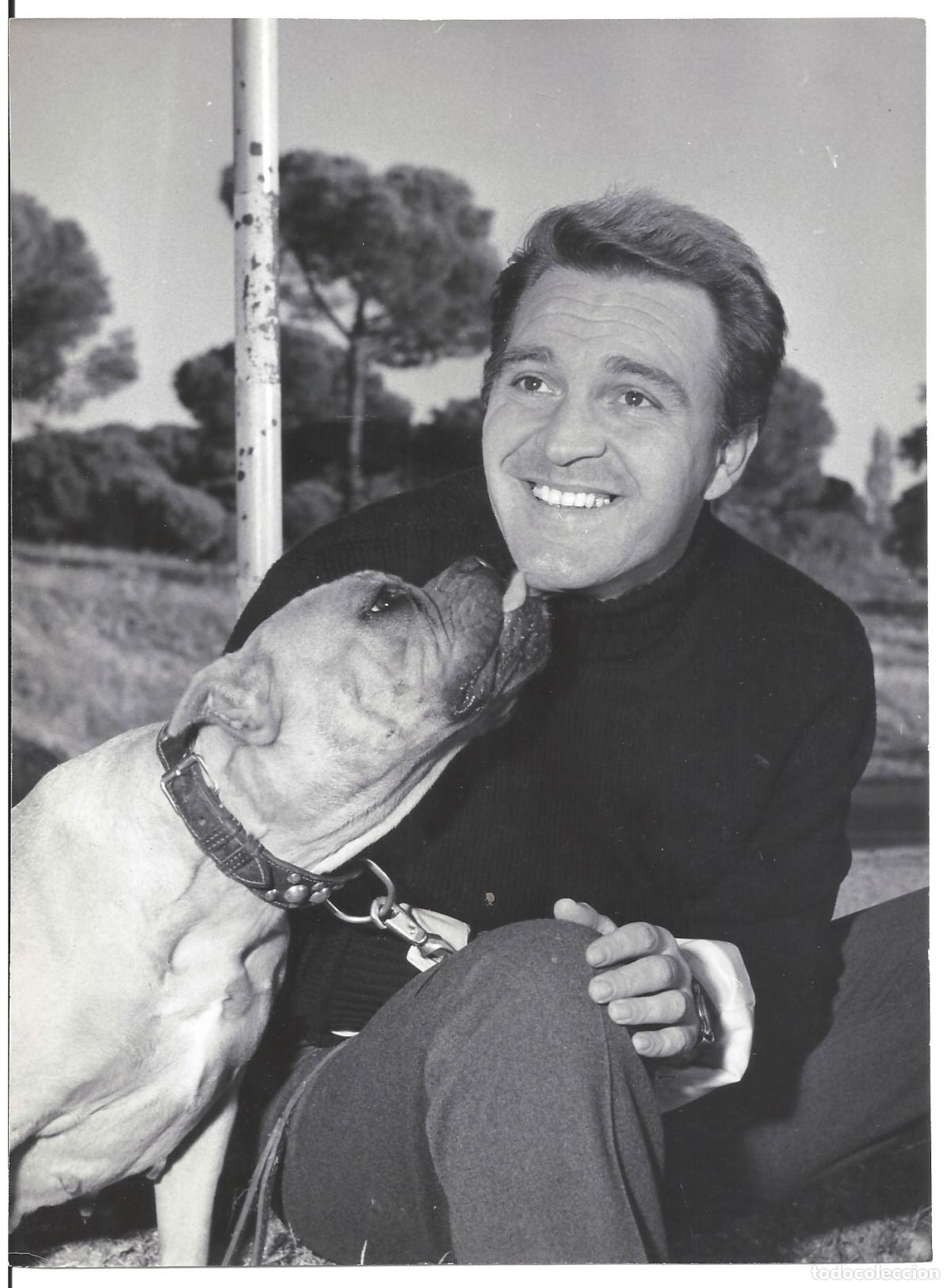 Kino: F35785 FRANCO FABRIZI PERRO FOTO B/N ORIGINAL ESPA&Ntilde;OLA FOTOGRAFO BASABE