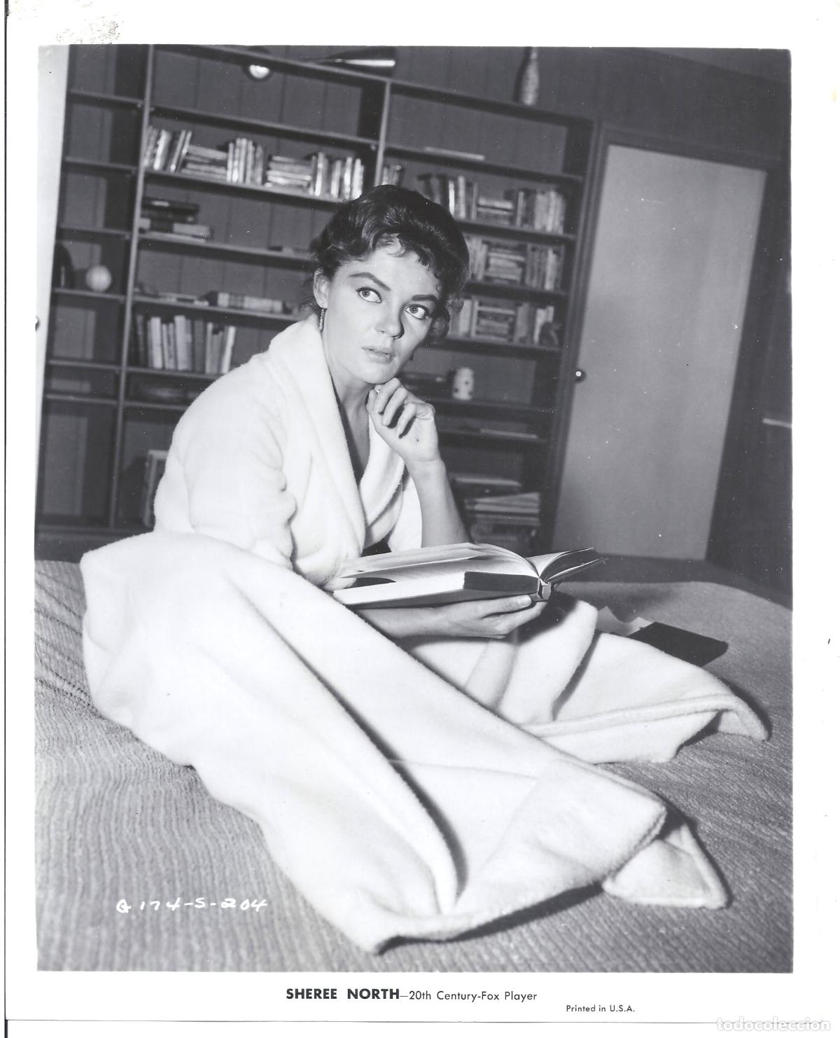 Kino: F35844 SHEREE NORTH FOTO B/N ORIGINAL AMERICANA