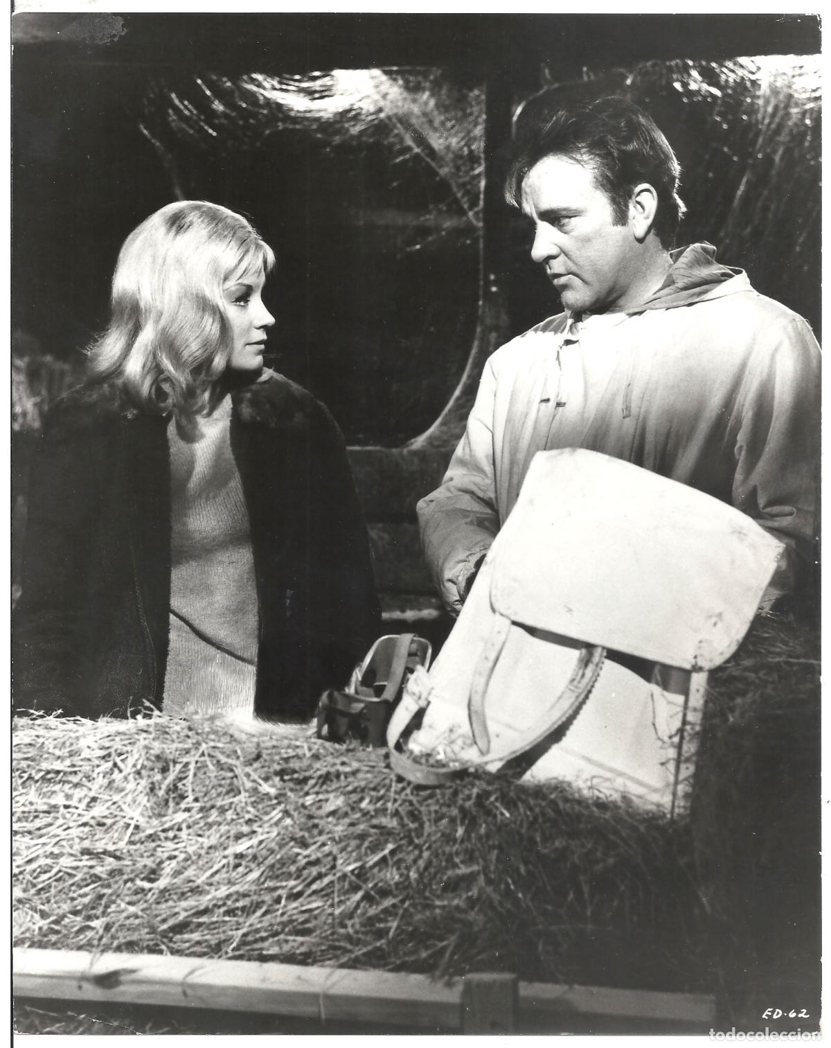 Kino: F35921 RICHARD BURTON MARY URE EL DESAFIO DE LAS AGUILAS FOTO ORIGINAL B/N AMERICANA