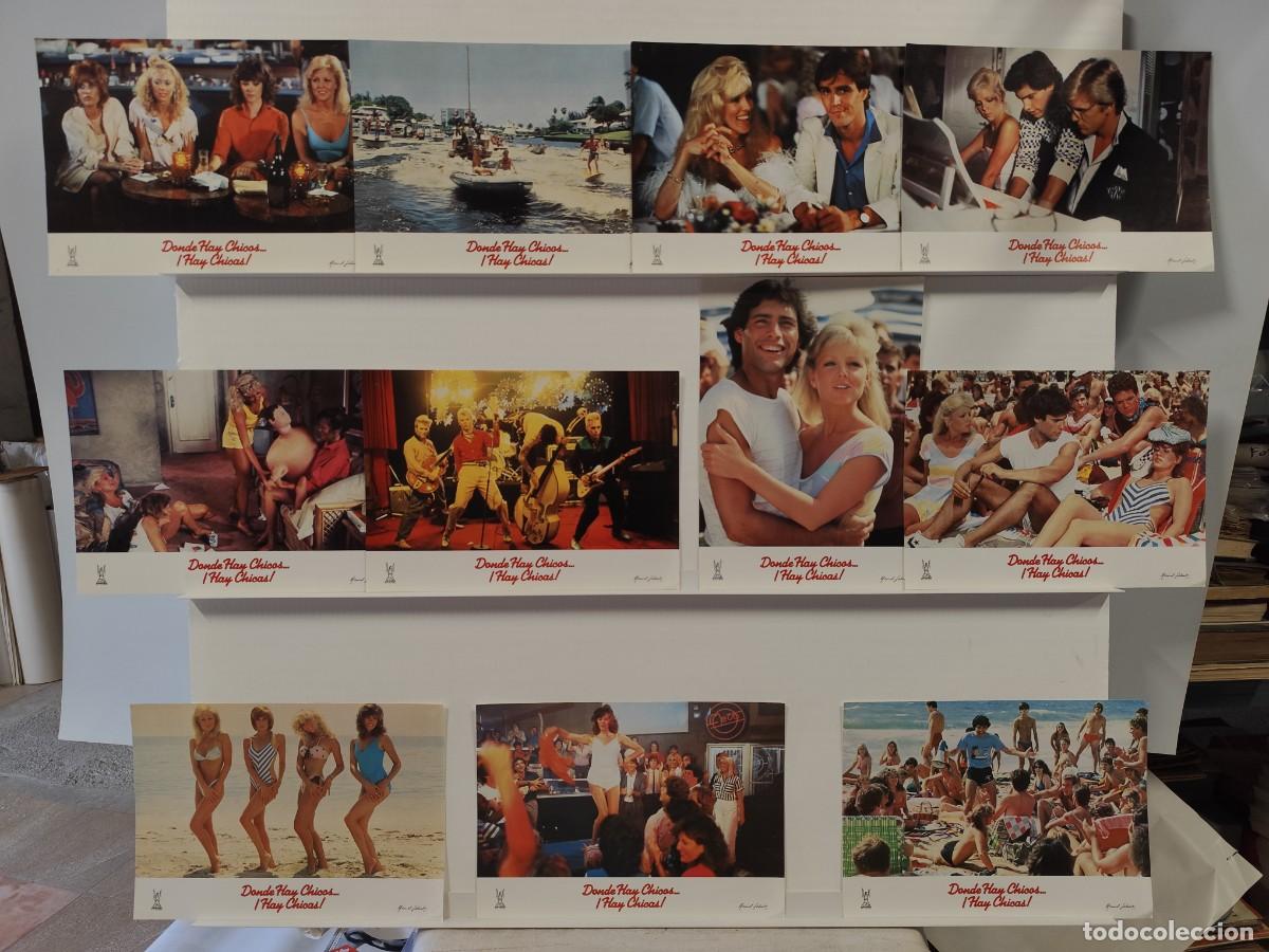 Cine: DONDE HAY CHICOS HAY CHICAS. Lisa Hartman, Lorna Luft, Wendy Schaal, 11 FOTOCROMOS